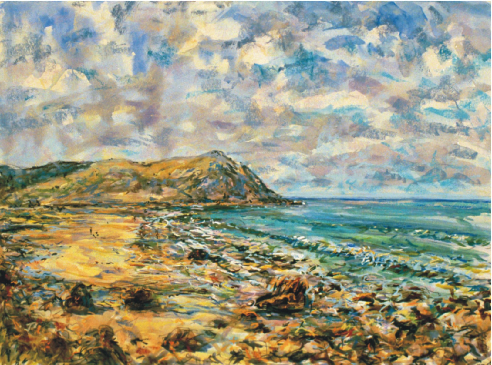 nz b