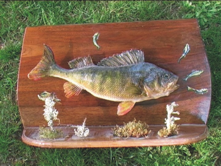 final perch